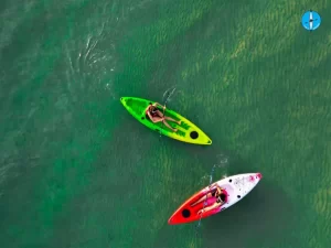 kayak vadodara