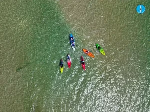 kayak boat price in vadodara