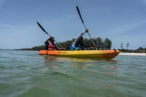 boat manufacturer india