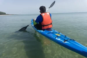 kayak boats 2 person vadodara