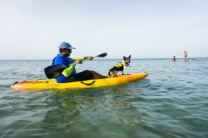 kayak boat price india