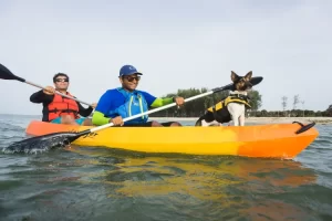 kayak boat price in india