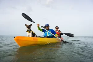 buy kayak online india