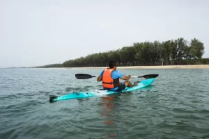 boat manufacturing company vadodara