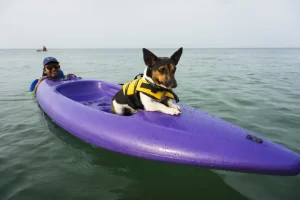 kayak manufacturers in india