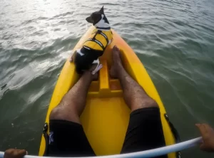 kayak boats 2 person india