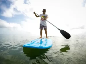 Boat manufacturers in vadodara